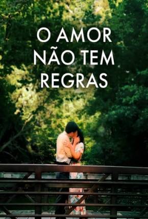O Amor Não Tem Regras Filmes Torrent Download capa